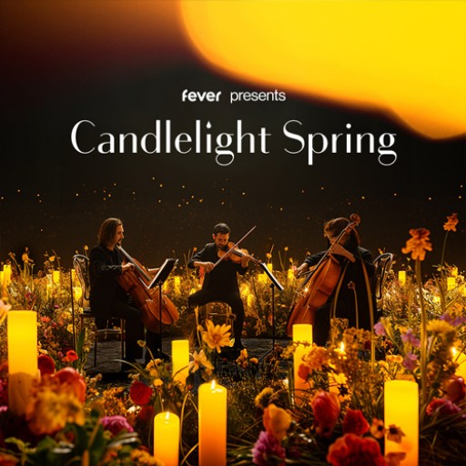 Candlelight: A Tribute to Beyonce concerts in Kansas City.