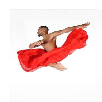 Dance Now! Kansas City Tickets