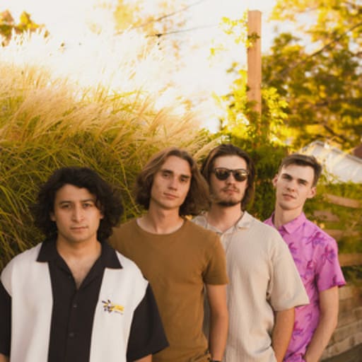 Flamingos in the Tree Kansas City Tickets