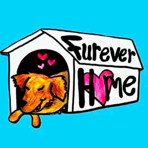 Furever Home Kansas City Tickets