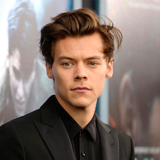 Harry Styles Concerts in Kansas City
