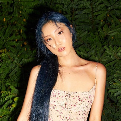 HWASA in Kansas City