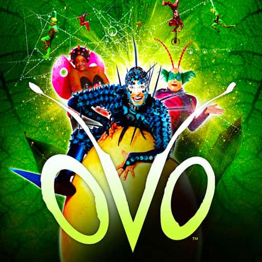 Cirque du Soleil - Ovo Kansas City Tickets
